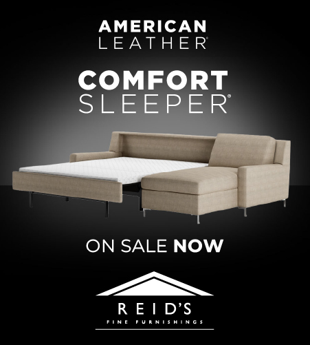 American Leather Comfort Sleeper Sale